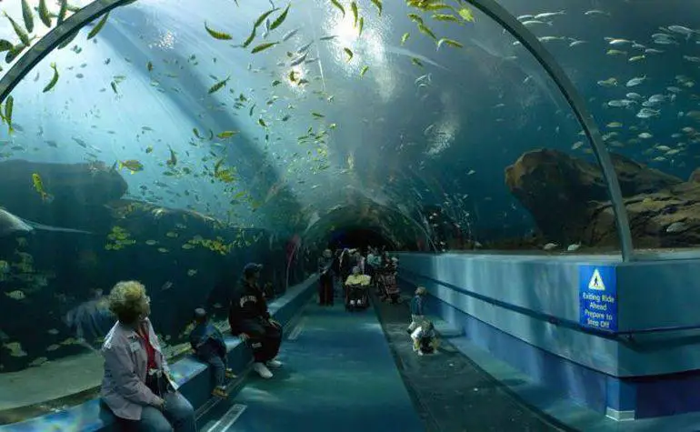 Atlanta in Georgia Aquarium