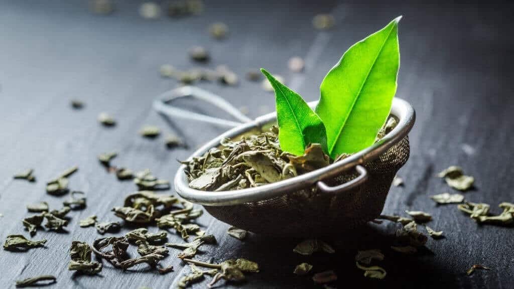 10-types-of-green-tea-origin-taste-health-benefits-10largest